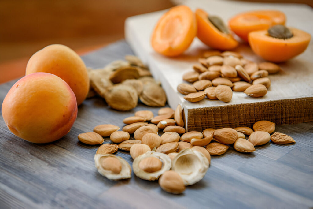 Incorporating Apricot Seeds Into Your Daily Wellness Routine